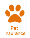 iSelect Pet Insurance